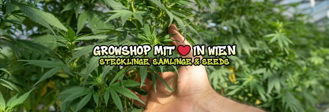 BOTANIQ Growshop Wien – Stecklinge, Sämlinge & Seeds